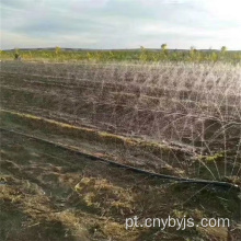 Mangueira de spray vegetal com sete orifícios